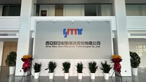 科學(xué)家精神融入產(chǎn)業(yè)模式突破 西安經(jīng)開(kāi)區(qū)這樣打造新材料高地